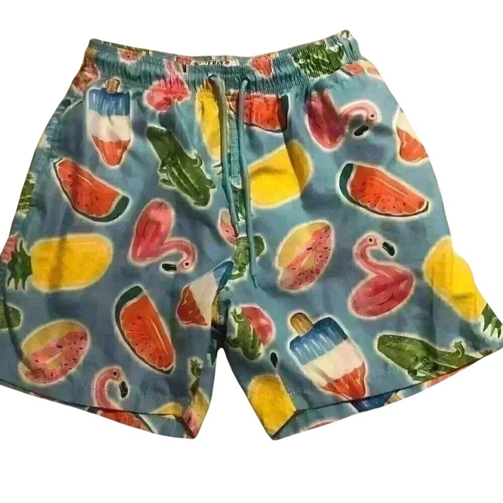 Free Planet Mens Medium Swim Trunks‎ Blue Flamingo Watermelon Popsicle Print 6in